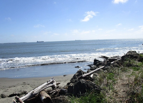 Budget Motel in Ocean Shores, WA