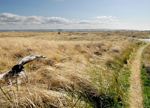 Room reservation in Ocean Shores, WA