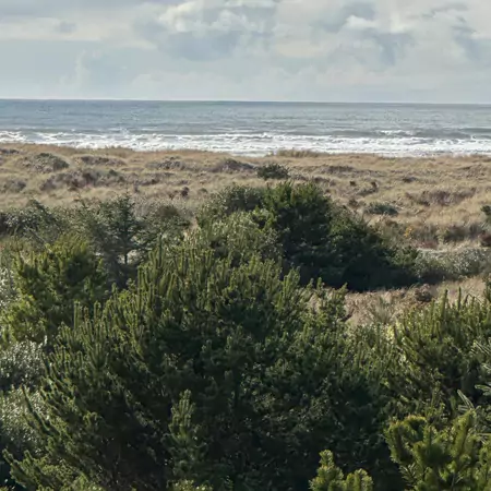 Best Motel in Ocean Shores, WA